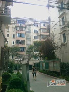 1356291_a.jpg