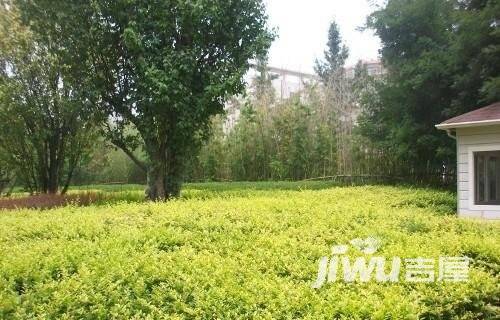 永盛锦园实景图图片