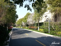 上海豪都国际花园别墅实景图图片