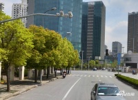 阿里巴巴电子大厦实景图图片
