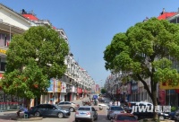 上海路步行街实景图图片
