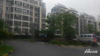 张步新村实景图图片