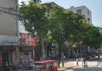 桂林小区实景图图片