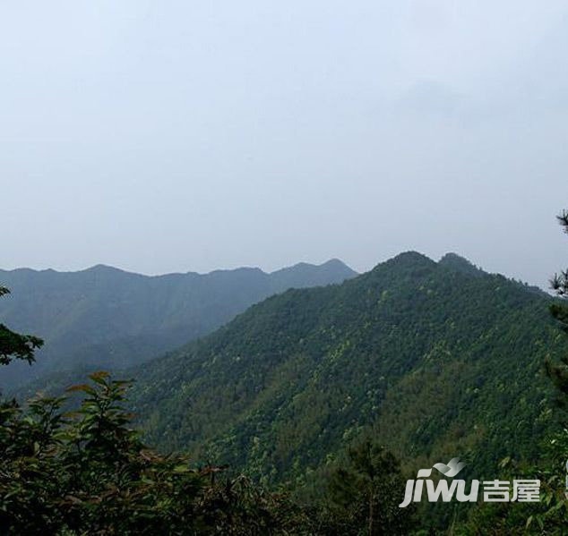 天鸿天麓