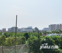 沧州供电公司炮团小区实景图图片
