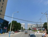 杨柳国际新城实景图图片