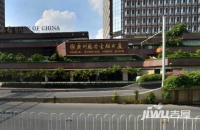 广州国际金融大厦实景图图片
