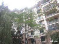 天元城实景图图片