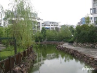 翠屏湾花园城实景图图片