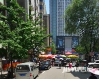 新柳街实景图图片