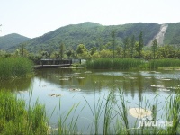 太湖畔山庄园实景图图片