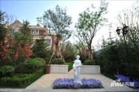 中海国际别墅实景图图片