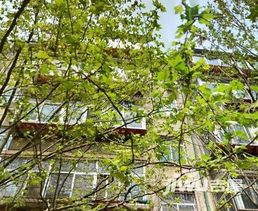 济南市房地产开发总公司宿舍实景图图片