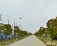 龙江共园实景图3