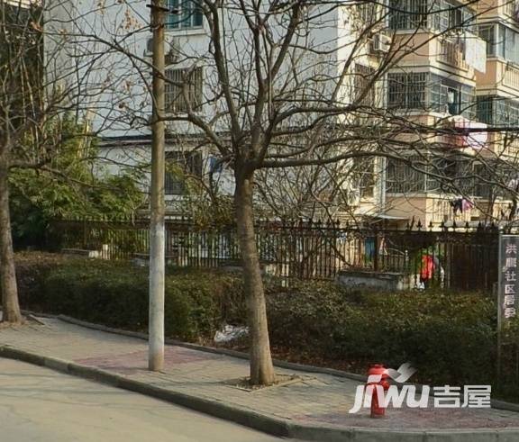 上海路金鑫住宅小区实景图图片