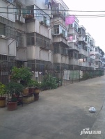 凤阳路集贸市场住宅实景图图片