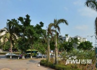 棕榈泉国际公馆实景图图片