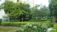 兆南绿岛家园实景图图片