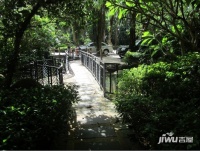金椰都滨江花园实景图图片