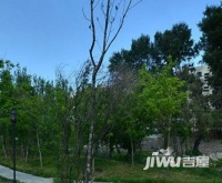黑龙江省政法管理干部学院家属楼实景图图片