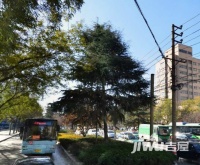 南庆里小区实景图图片