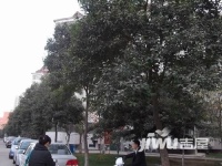 河南省公安厅家属院实景图图片