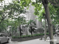 河南省政法管理干部学院家属院实景图图片