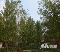 商水阳城公园小区实景图图片