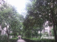 河南省物资厅家属院实景图图片