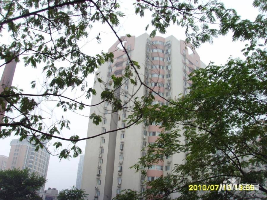 郑州烟厂家属院黄金叶小区实景图图片