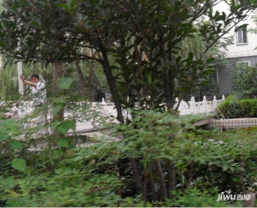 世纪豫花园实景图图片