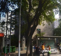 省文化厅白马北路单位宿舍实景图图片