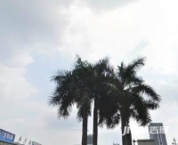 京航大厦实景图图片