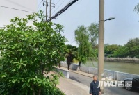 蒋家塘小区实景图图片