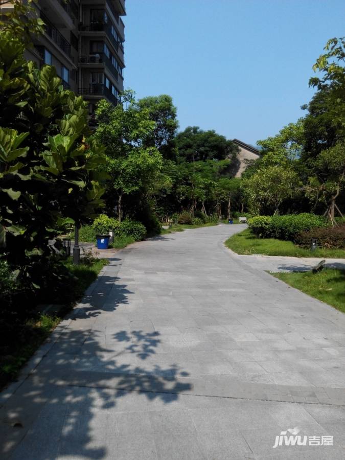 同安禹州大学城实景图图片