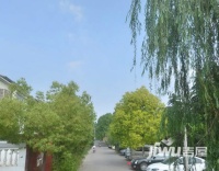 黄河花园实景图图片