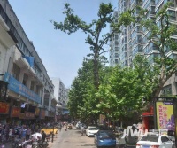 庆华商城实景图图片