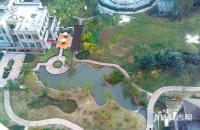 建业高尔夫花园实景图图片
