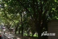 乌市园林管理处家属院实景图图片
