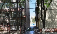 乌市园林管理处家属院实景图图片