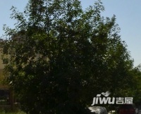 神华城小区实景图图片