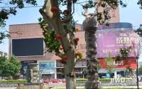 文化广场商务中心实景图图片