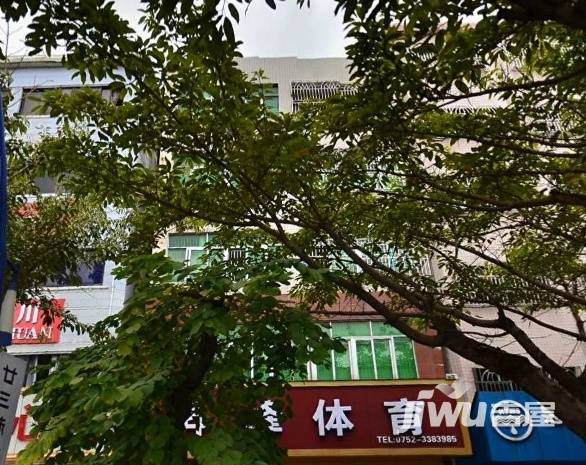 四海娱乐城花园实景图图片