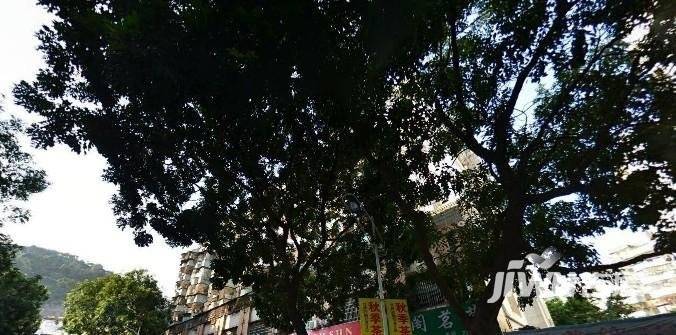 威龙花苑实景图图片