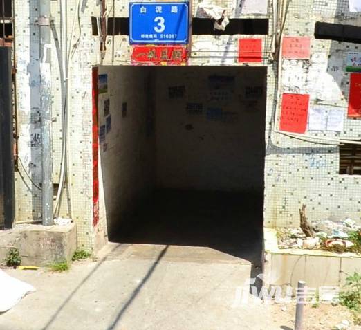 新城花园实景图图片