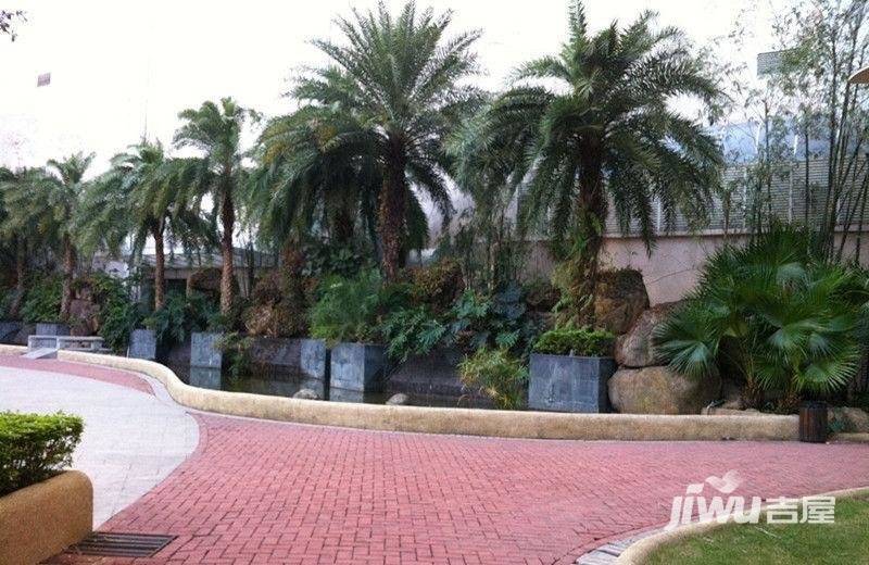 南湖花园实景图图片