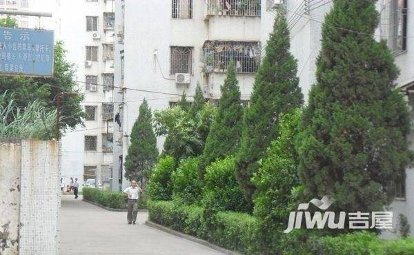 广厦新苑实景图图片