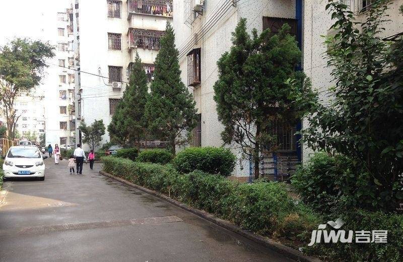 广厦新苑实景图图片