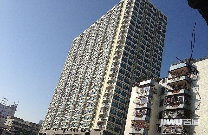友邻茉莉花开实景图图片