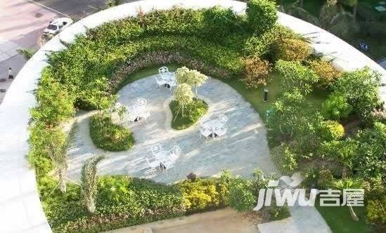 友邻茉莉花开实景图图片